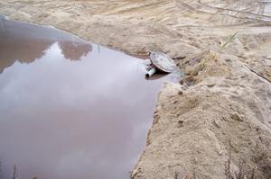 presa artificial per contenir el vessament