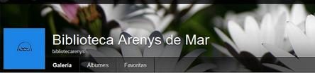 Flickr Biblioteca