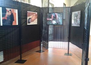 Exposici&oacute; 25N