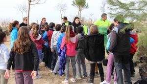 recuperaci&oacute; ambiental platges