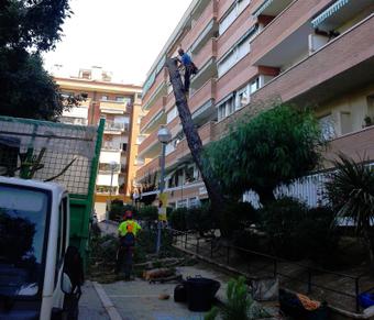 pins carrer doedes pins carrer doedes