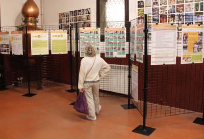 Proc&eacute;s participatiu 2015