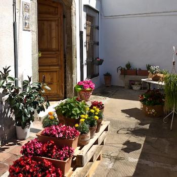 arenys de flors