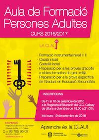 aula adults