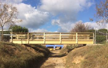 pont rial serp
