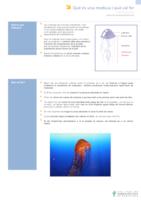 Fitxer Acrobat-PDF de (238.45kB)