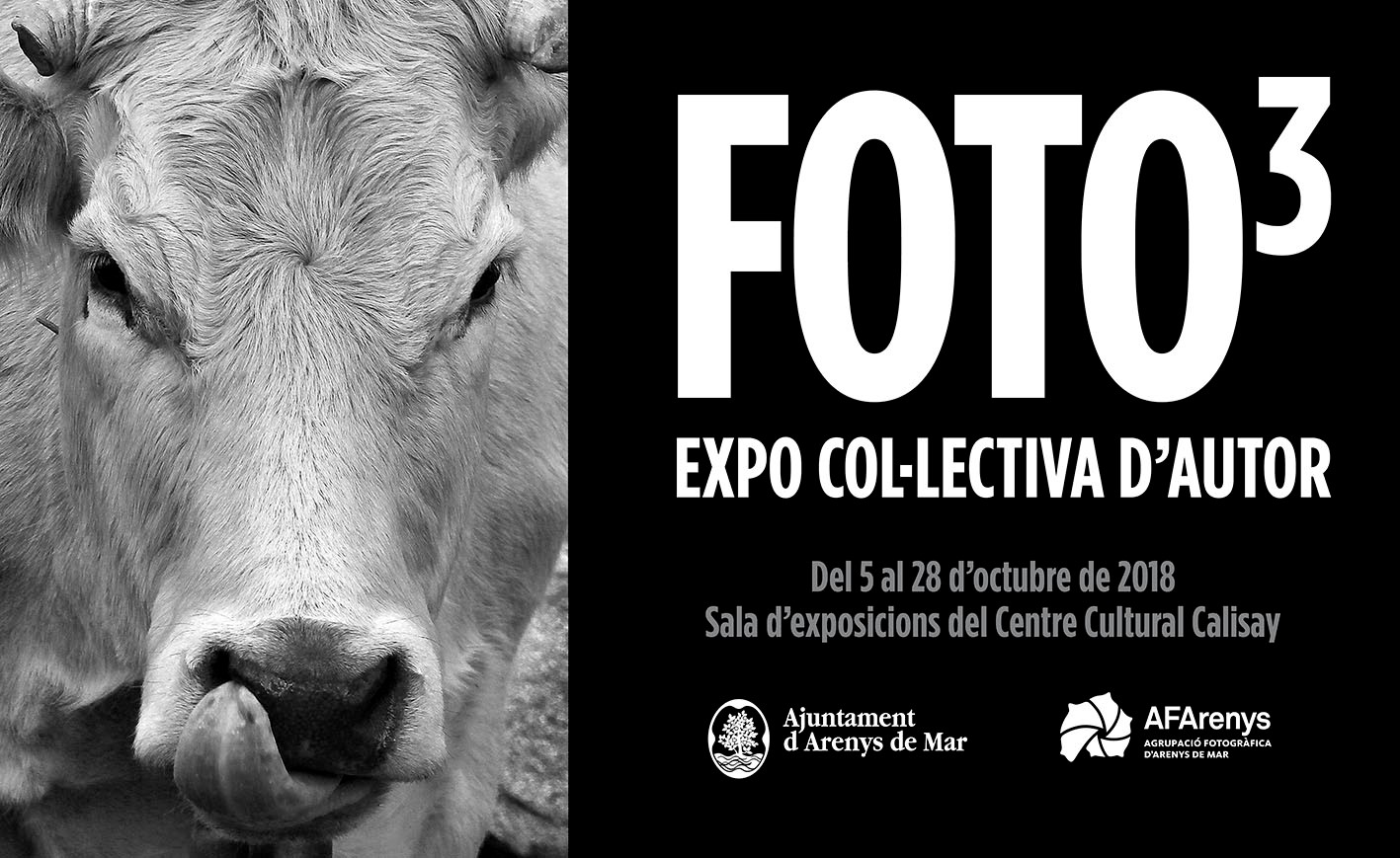 afa expo octubre