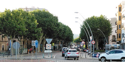 tractament arbres
