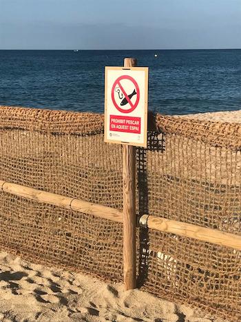 prohibit pesquer platja per gossos