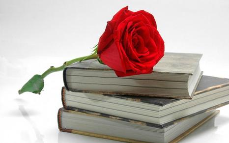 llibres i roses