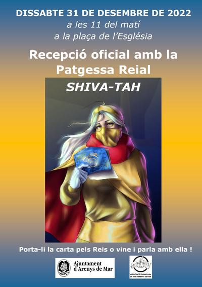 Cartell patgessa