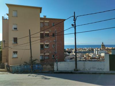 Mur olivar