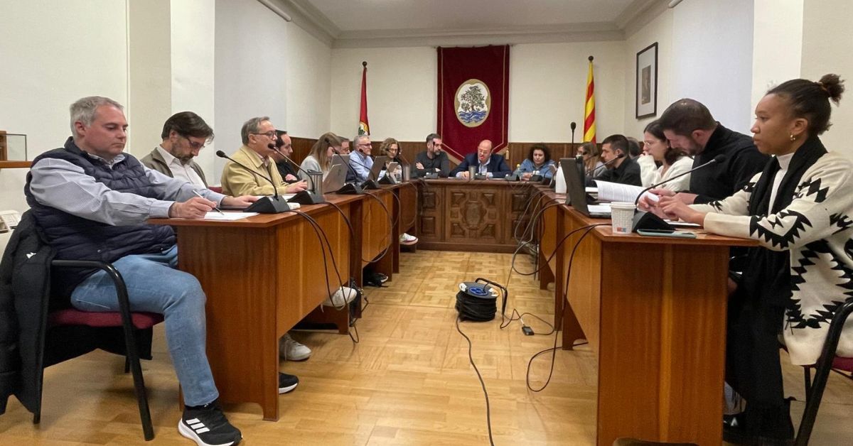 Crònica del Ple ordinari de desembre de 2024