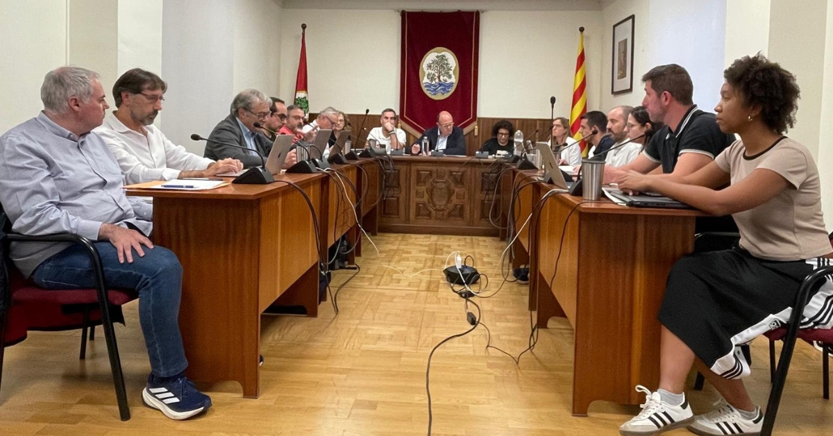 crnica del ple ordinari d'octubre de 2025