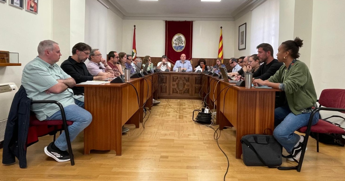 crnica del ple ordinari maig de 2025