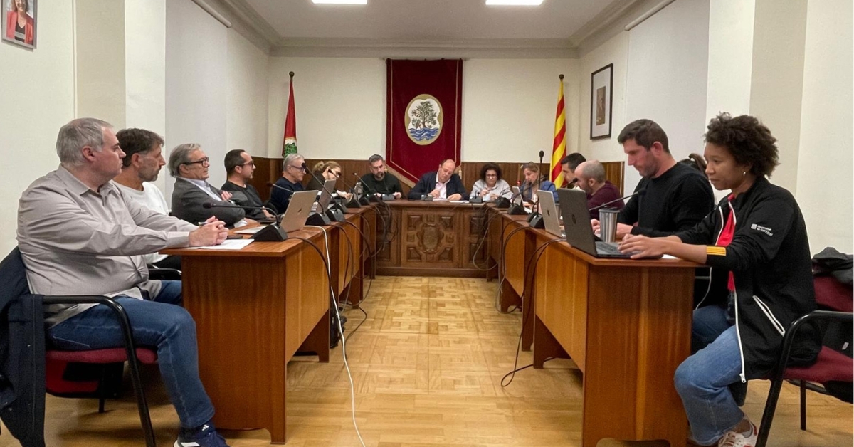 crnica del ple extraordinari de novembre de 2025