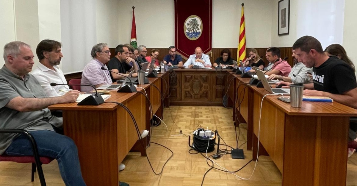 crnica del ple ordinari juliol de 2025