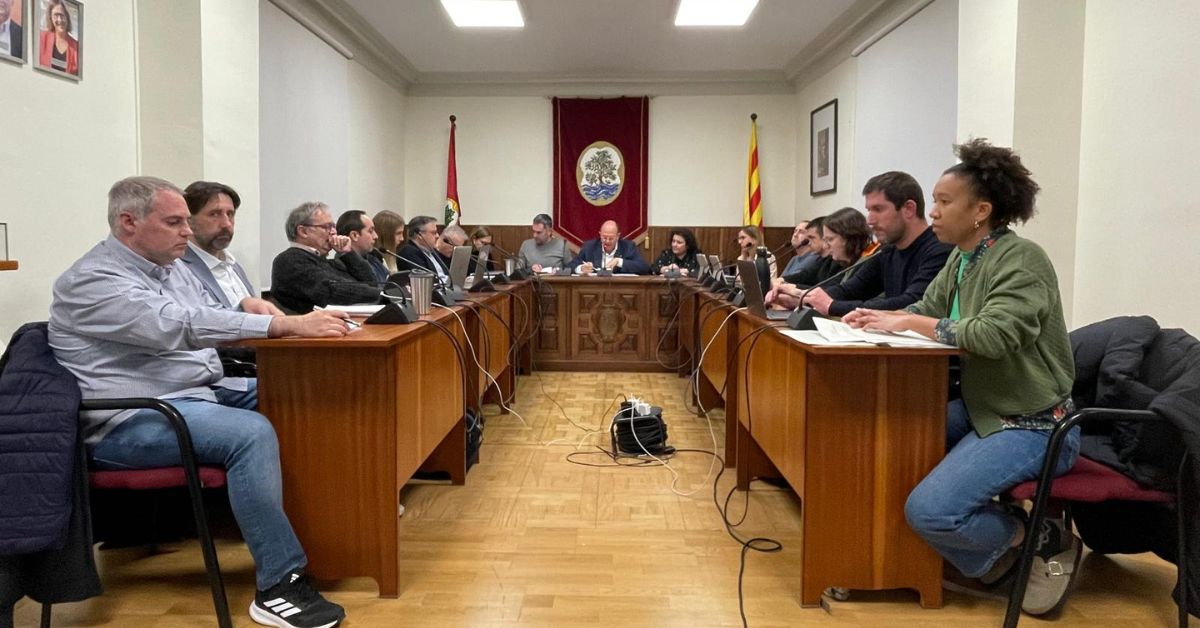 crnica del ple ordinari de gener de 2025