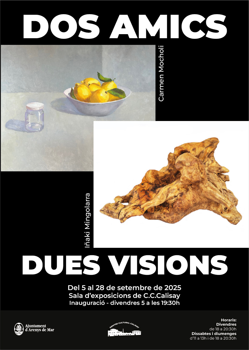 DOS AMICS. DUES VISIONS