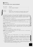 Informe Control Financer permanent