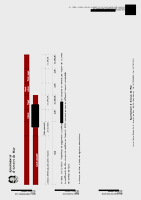 Informe conciliació bancària