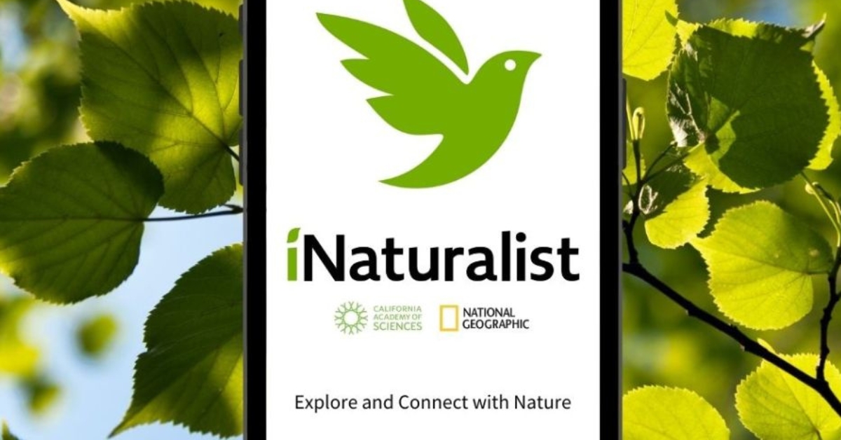 la regidoria de medi ambient obre inscripcions per qui vulgui collaborar en el projecte bioblitz