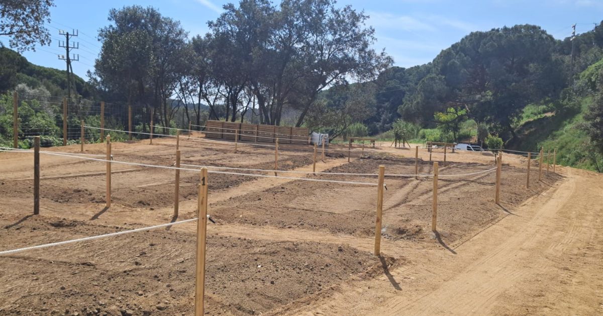 els horts municipals del bareu reobren aquest diumenge 13 d'abril amb una jornada oberta a tothom