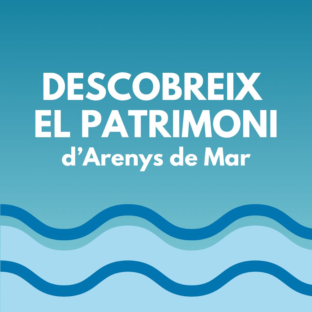 PAGINA WEB PATRIMONI