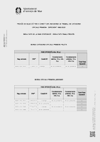 Resultat fase oposició i resultats finals procés (Data publicació: 24/11/2025)