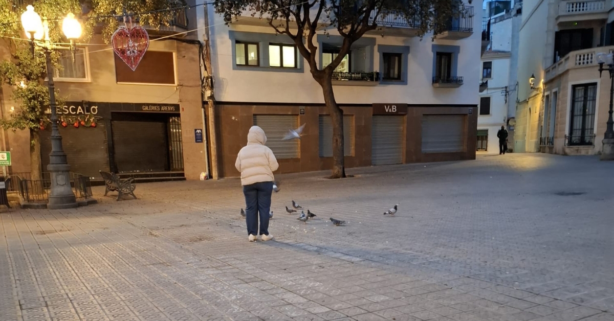 la regidoria de sanitat recorda que est� prohibit donar menjar als coloms en espais i vies p�bliques