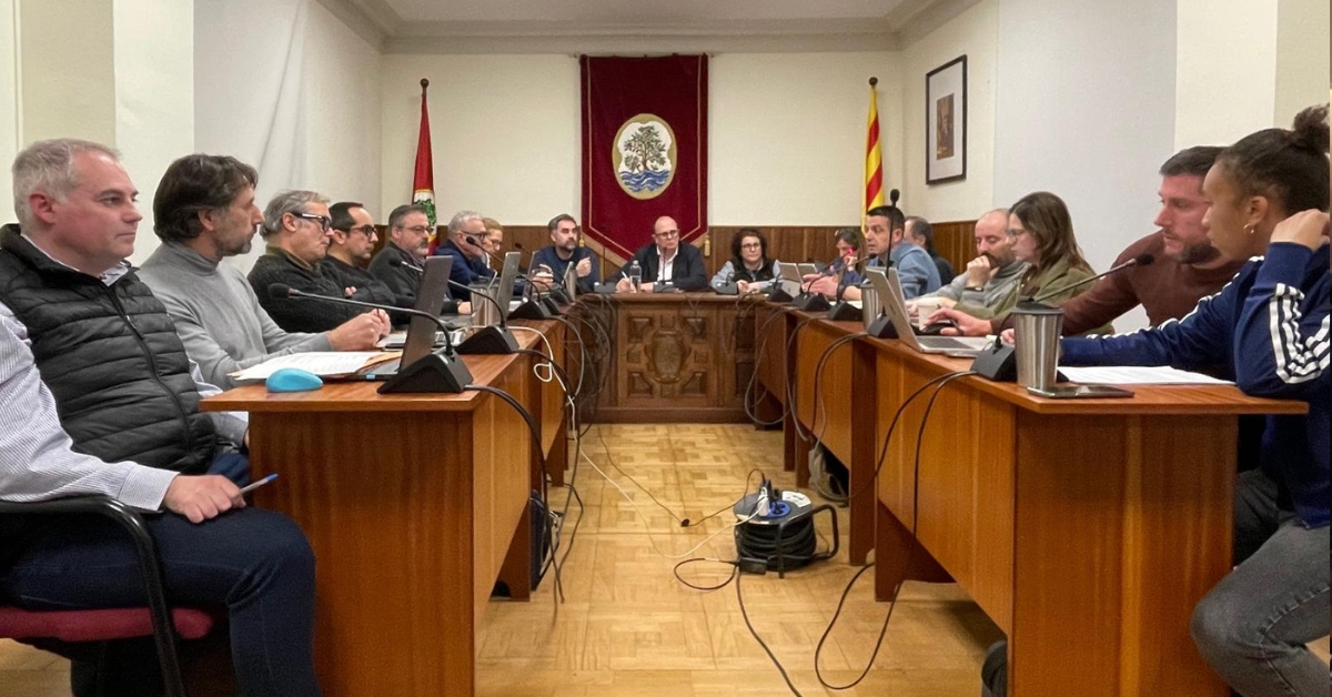 cr�nica del ple ordinari del 29 de gener de 2026