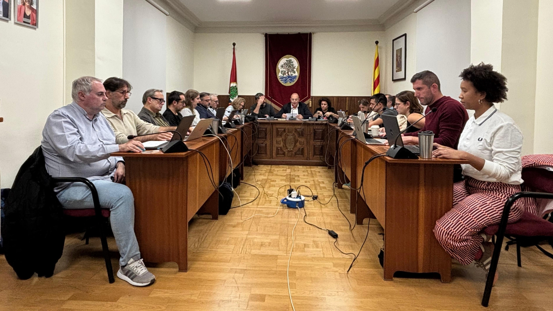 cr�nica del ple ordinari de 29 d'octubre de 2026