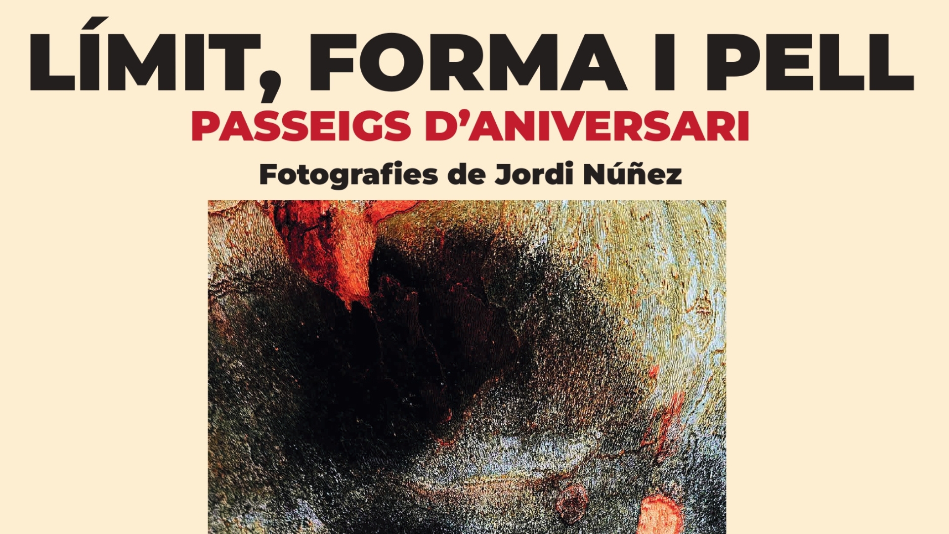 “l�mit, forma i pell. passeigs d'aniversari”, nova exposici� mensual al calisay