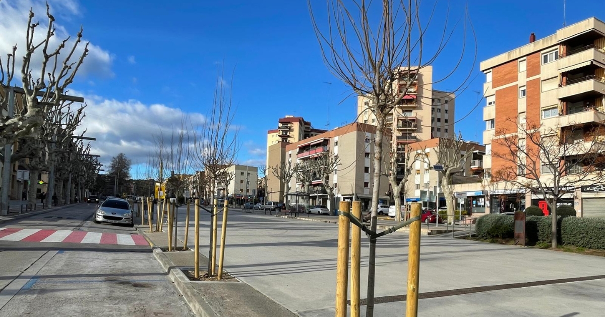 arenys amplia l'arbrat urb� amb la plantaci� de 55 nous exemplars