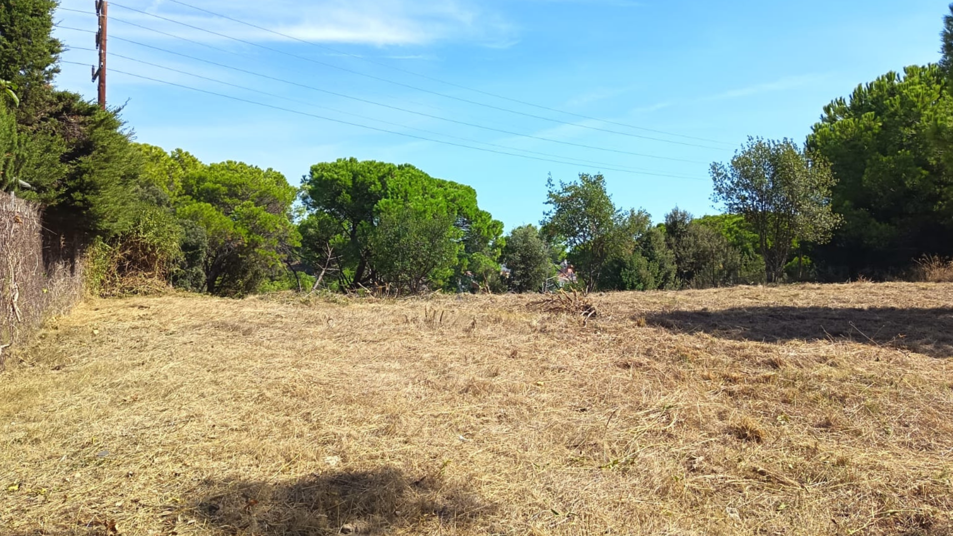 l'ajuntament reprèn els treballs d'obertura de franges de prevenció d'incendis al nucli