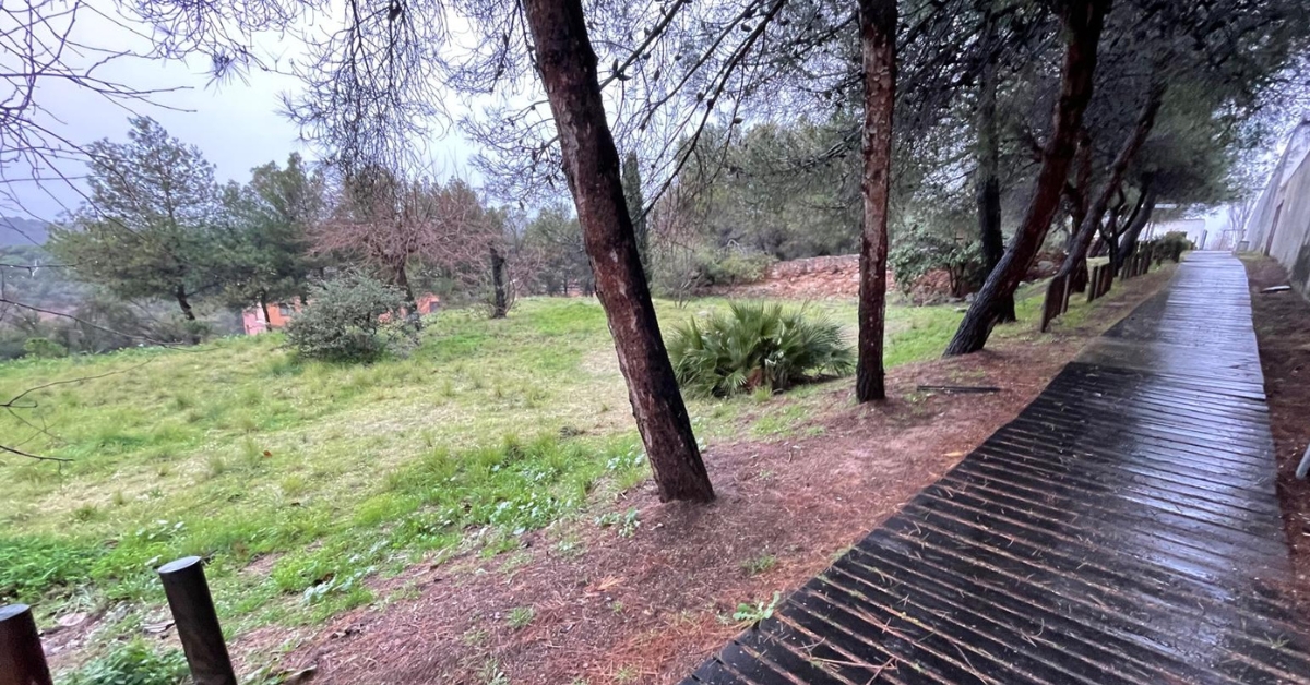 intervenci� arqueol�gica a l'antic cementiri dels dissidents