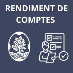 RENDIMENT DE COMPTES