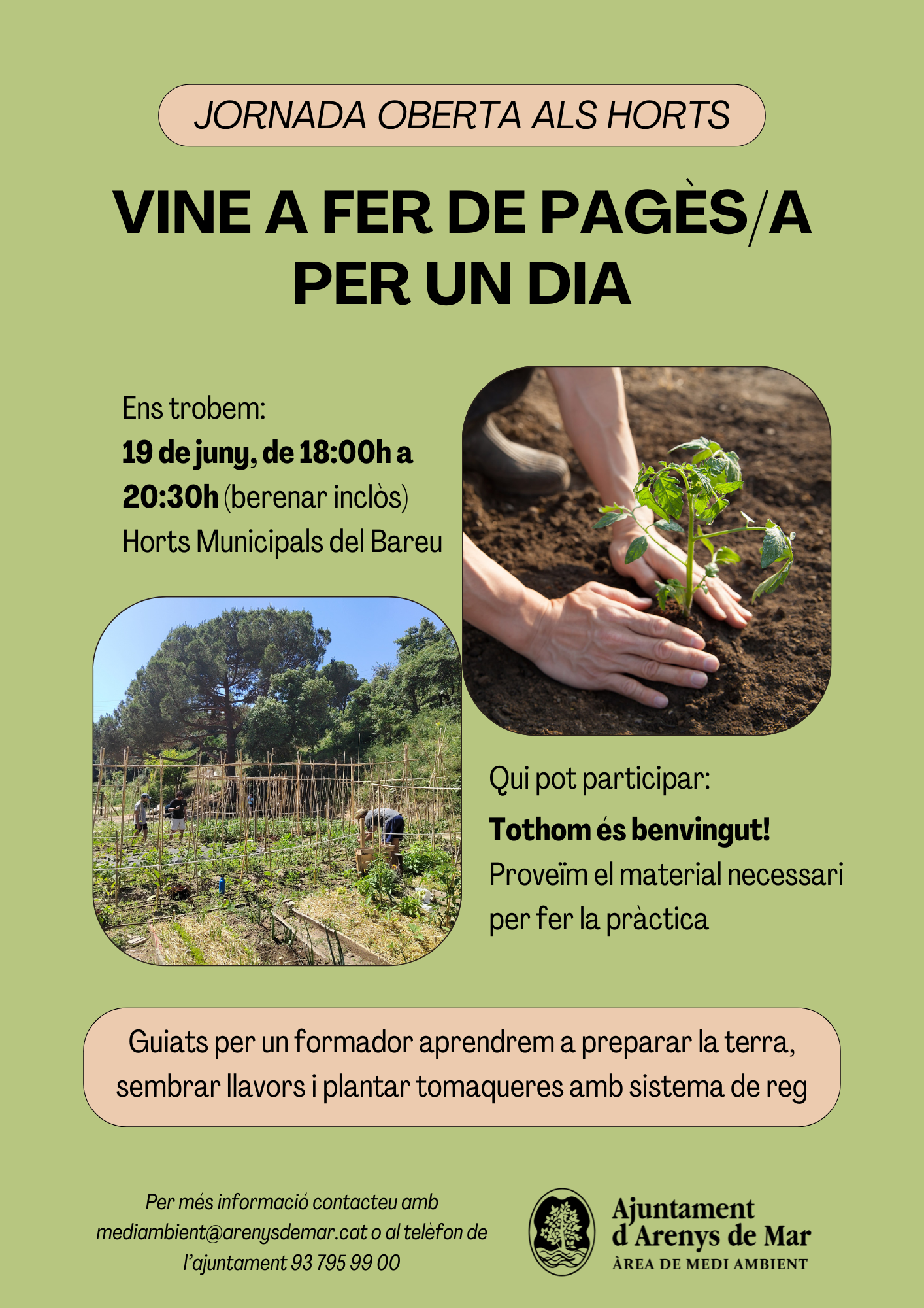 Horts Municipals del Bareu
