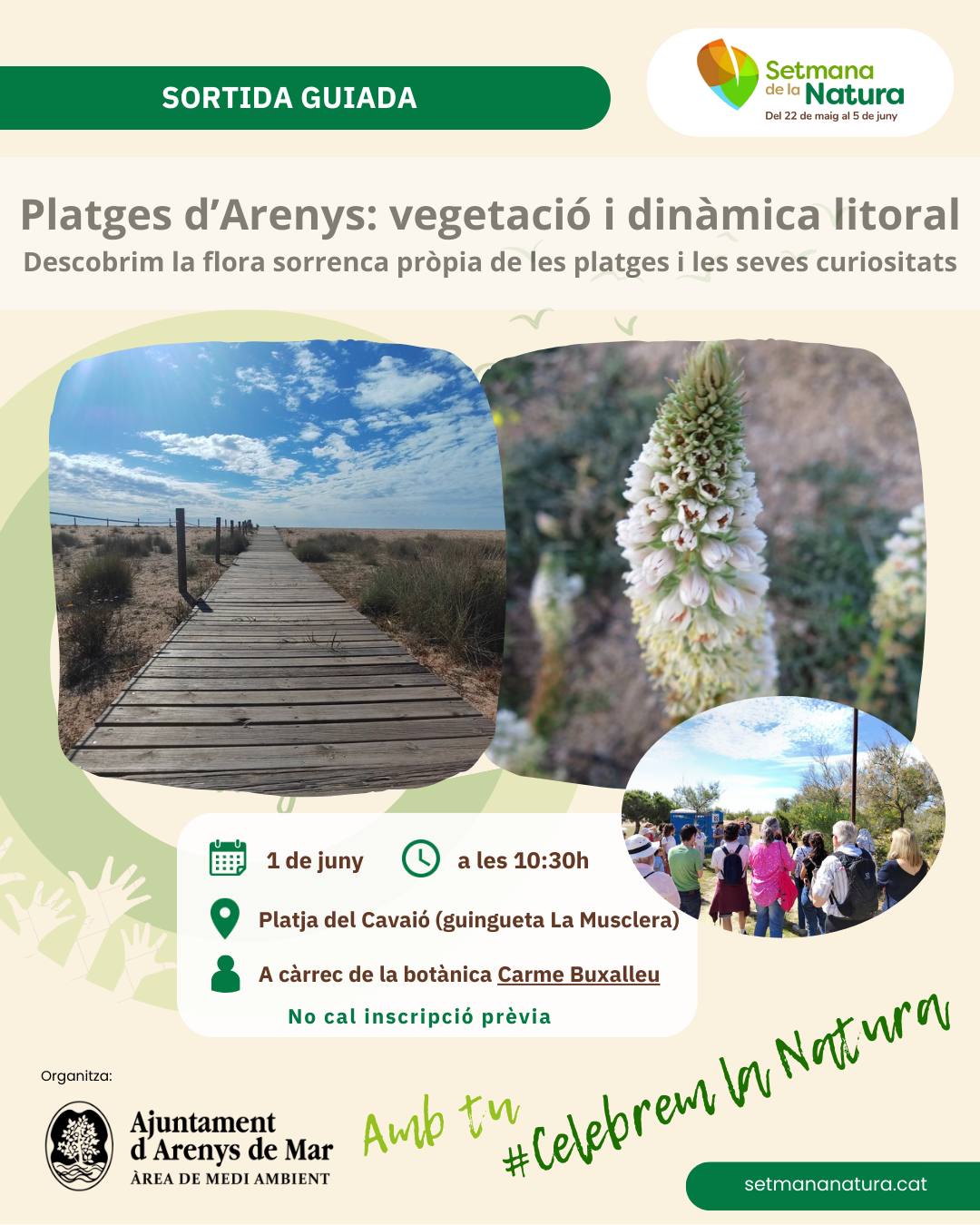 Platja del Cavai (zona de pcnic del bnquer davant guingueta La Musclera)